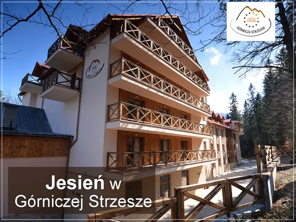 Hotel Europa Górnicza Strzecha***